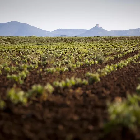 Hostel Extrenatura Alojamiento