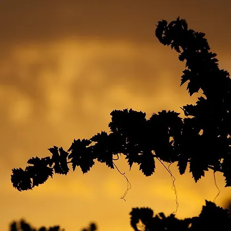 伊克斯特纳图拉阿罗贾米托阿尔伯格旅舍 巴罗斯自由镇